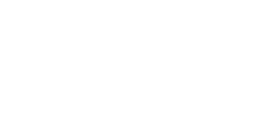 LOGO_the-living-legacy-foundation_500_apr26