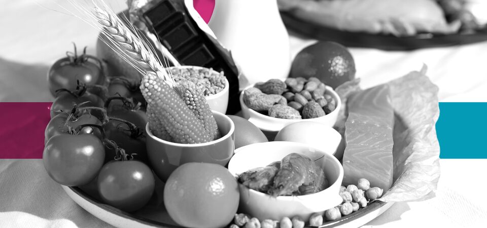 SINGLE-IMAGE_squares-food-allergen-regulations_aug24