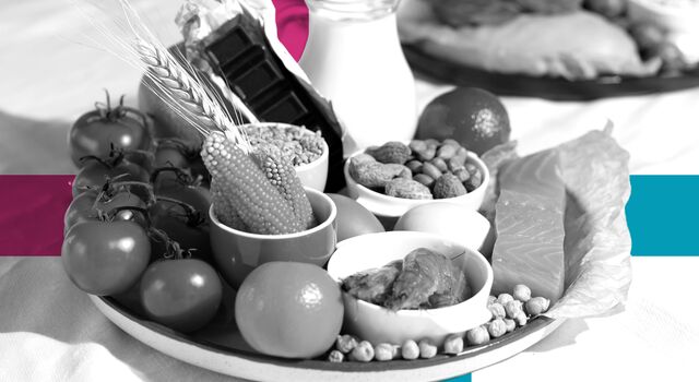SINGLE-IMAGE_squares-food-allergen-regulations_aug24