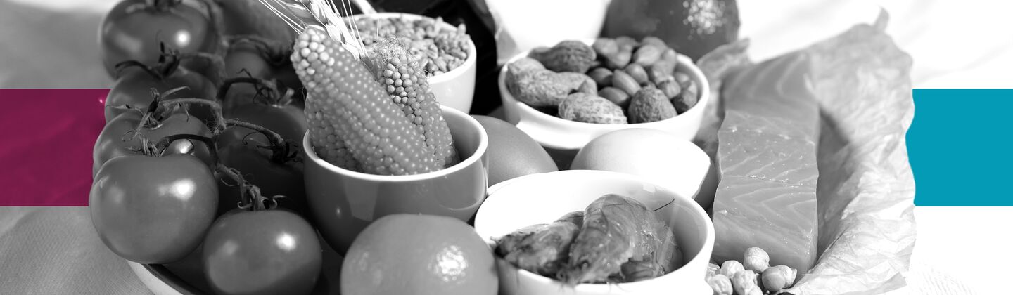 SINGLE-IMAGE_squares-food-allergen-regulations_aug24