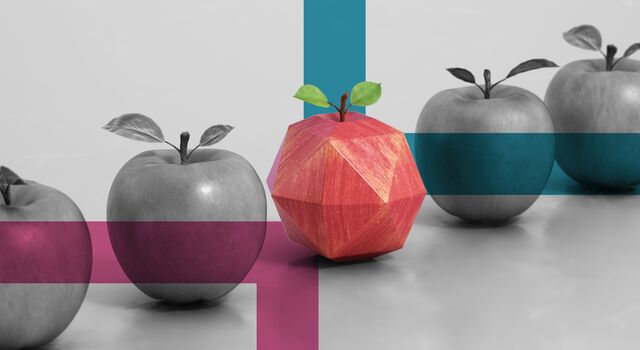 SINGLE-IMAGE_2024-food-industry-audit-report-odd-shape-apple-squares_may24