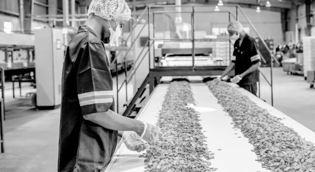 SINGLE-IMAGE_worker-checking-biscuits-on-conveyor_nov23