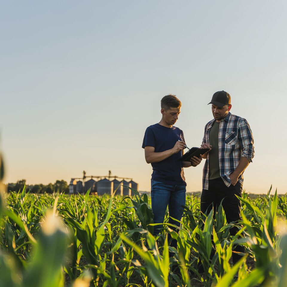 COLOUR-IMAGE_two-farmers-in-field_feb26