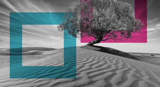 SINGLE-IMAGE_squares-tree-in-desserted-land_may25