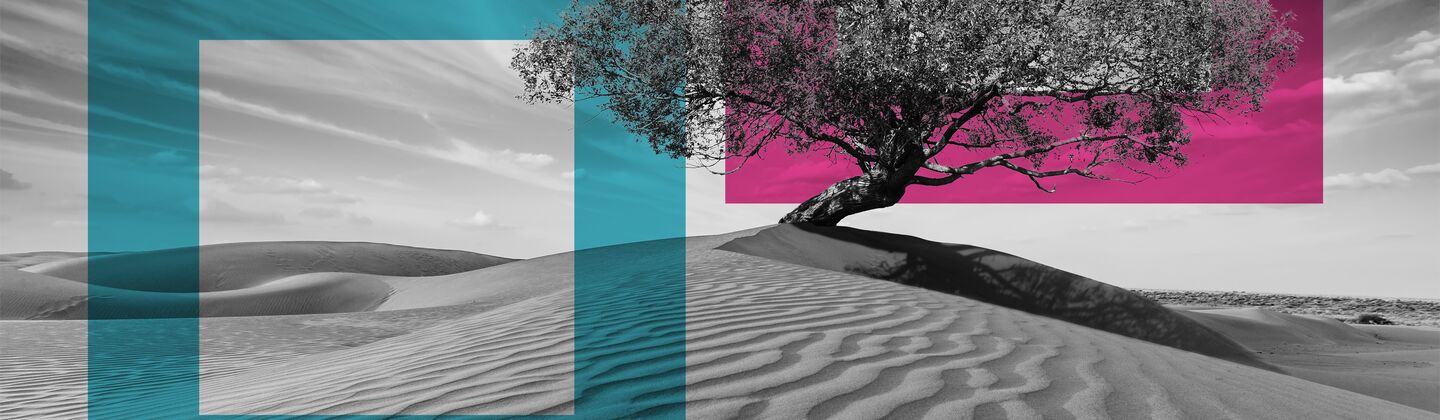 SINGLE-IMAGE_squares-tree-in-desserted-land_may25