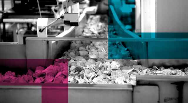 SINGLE-IMAGE_squares-crisps-on-conveyor-belt-in-factory_nov23