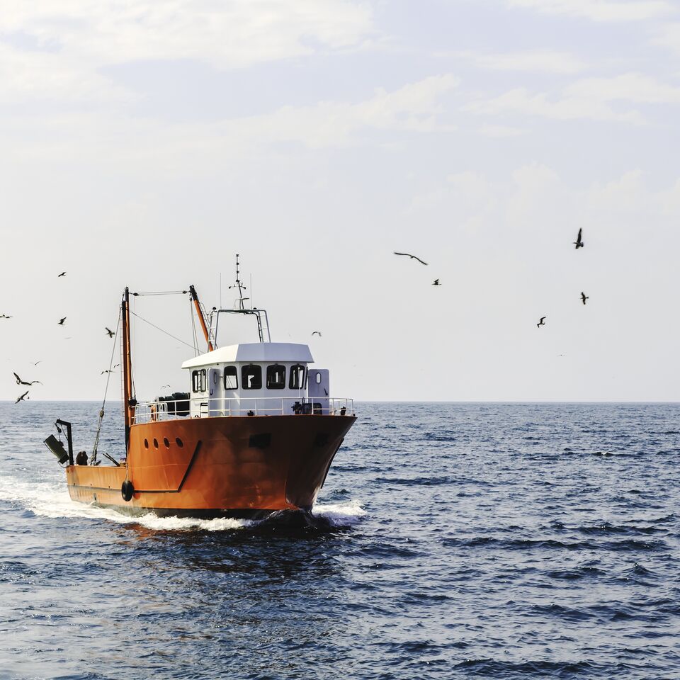 COLOUR-IMAGE_fishing-ship_feb26