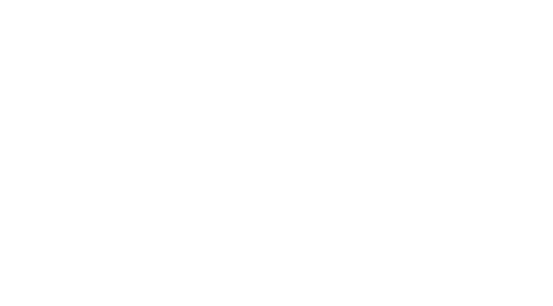 LOGO_falcon-aviation-services-500-white