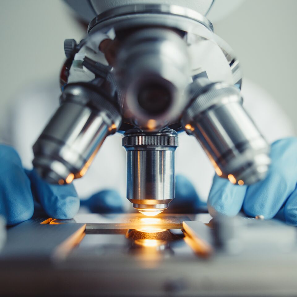 COLOUR-IMAGE_life-science-close-test-sample-microscope-laboratory_feb26