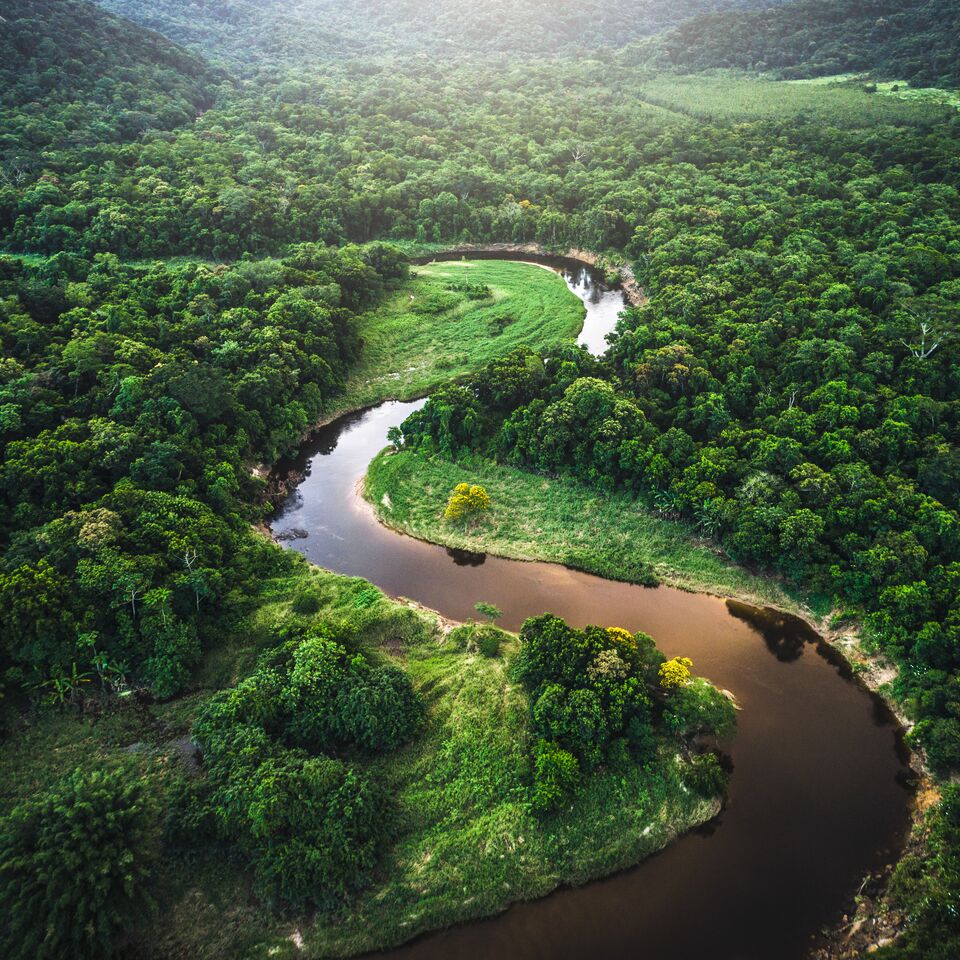 COLOUR-IMAGE_jungle-river-environment_feb26