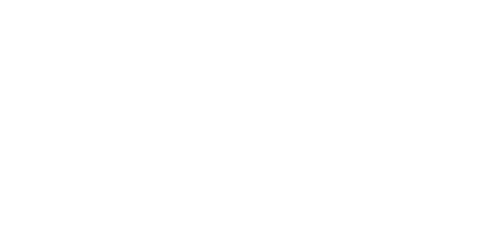 LOGO_white-ameriqual-500_jun26