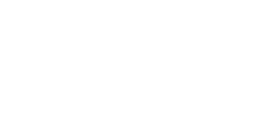 LOGO_dubai-air-navigation-services-white-500-white