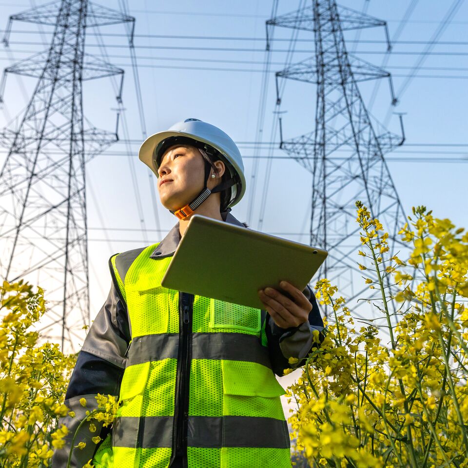 COLOUR-IMAGE_electricity-pylon-audit-worker_feb26