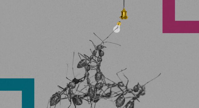 SINGLE-IMAGE_squares-2025-trends-report-ants-lightbulb_jan25