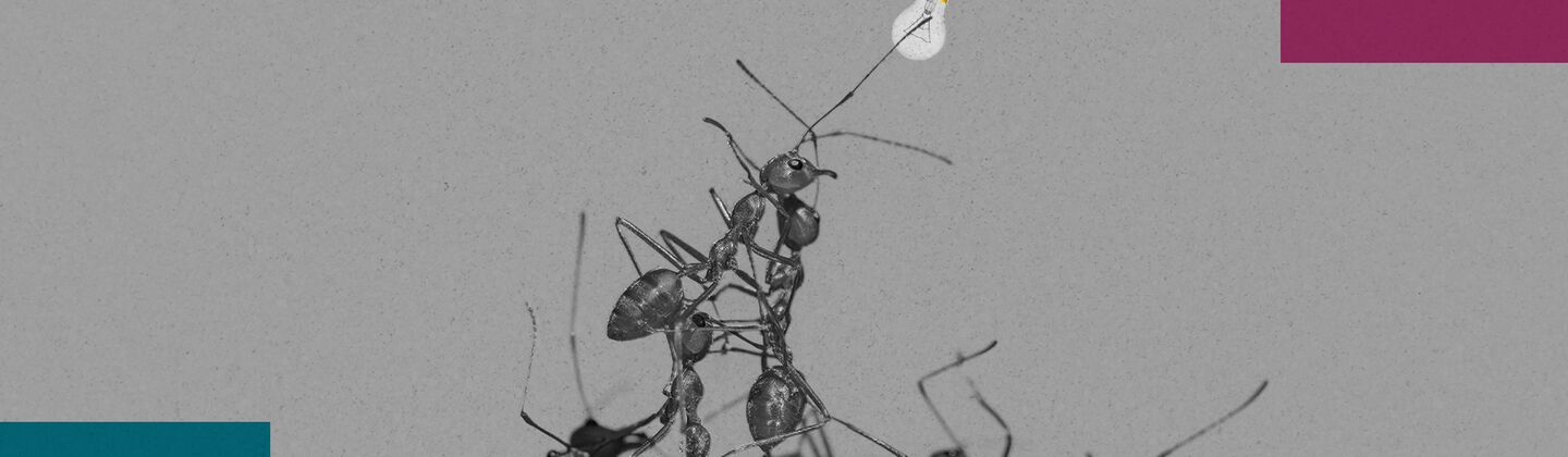 SINGLE-IMAGE_squares-2025-trends-report-ants-lightbulb_jan25