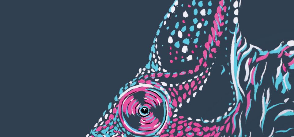 SINGLE-IMAGE_resilience-nation-report-chameleon-press-illustration_oct24