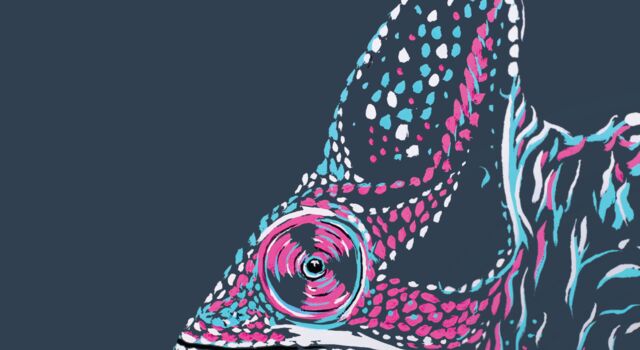 SINGLE-IMAGE_resilience-nation-report-chameleon-press-illustration_oct24