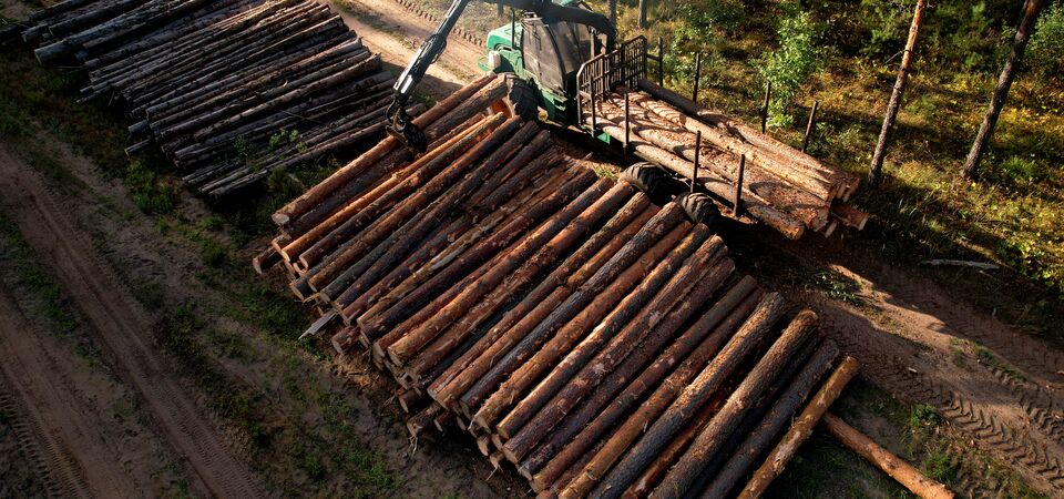 COLOUR-IMAGE_forestry-logs_june26