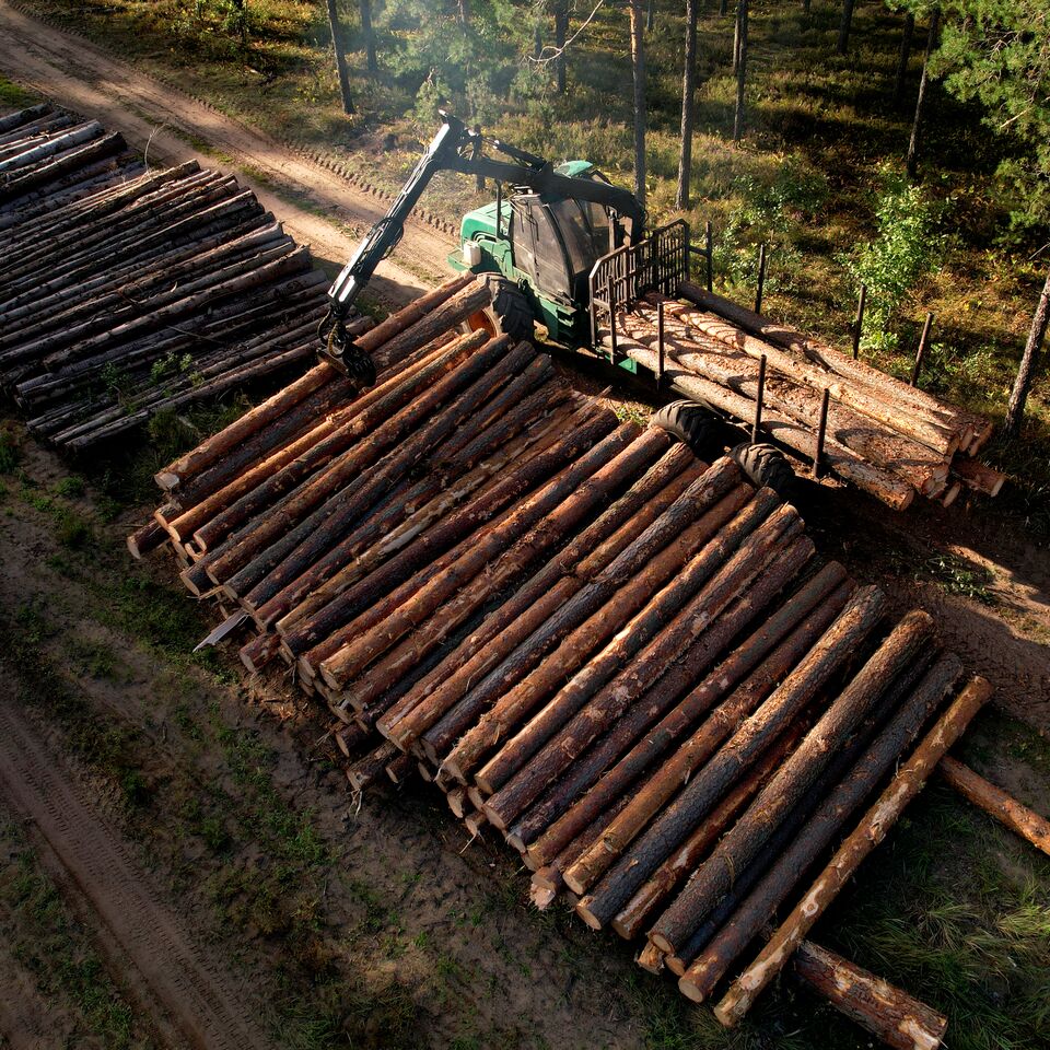 COLOUR-IMAGE_forestry-logs_june26