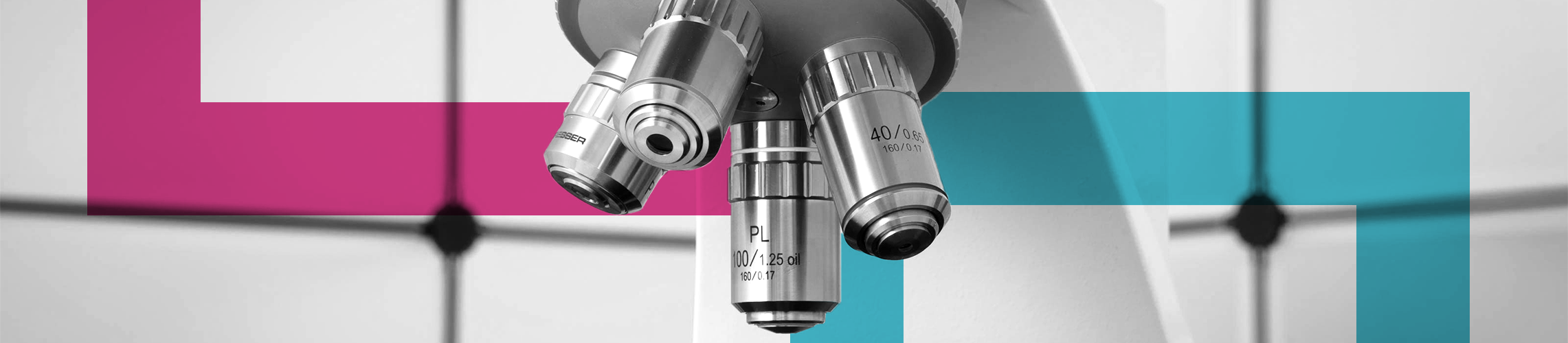 /bynder-asset/bynder:F5EE4BFB-2B1F-4067-9E370015847F5B53/240/BLOG-HEADER_microscope-laboratory-equipment_jul24.png?1749642118000