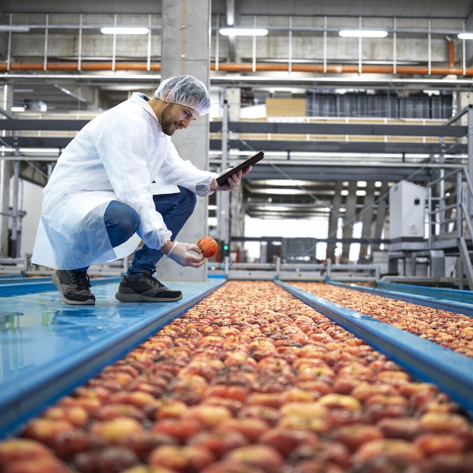 COLOUR-IMAGE_Apple_quality_control_June26