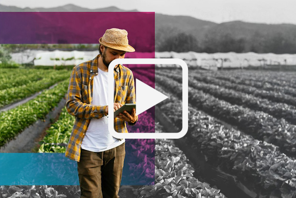 Play the Quality summit preview