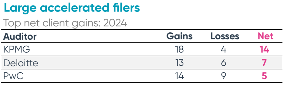 large accelerated filers