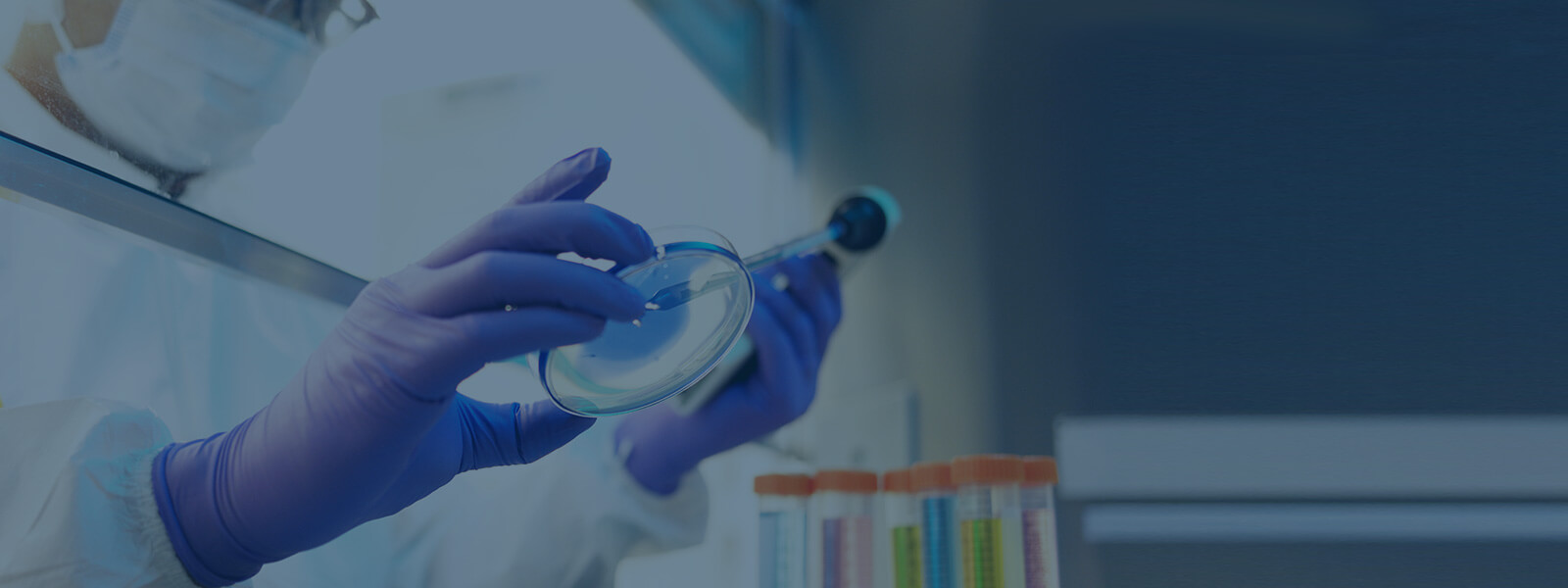 /dam/jcr:e098da3d-7d79-467c-af5c-a15b4e30d33e/life-science-validation-solution-header.jpg