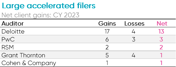 Large accelerated filers